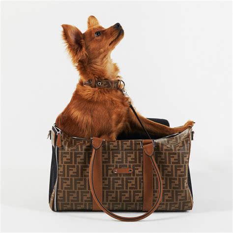 Fendi’s New Pet Accessory Line Is the Best Thing .